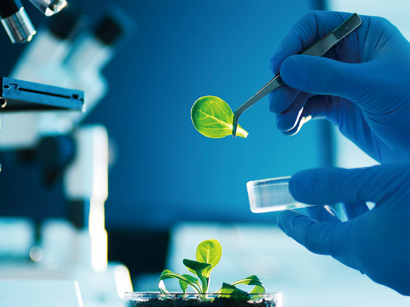 Medical Biotechnology Food Processing Industry